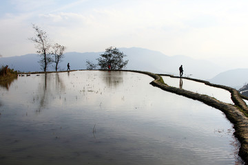 元阳梯田