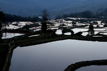 元阳梯田