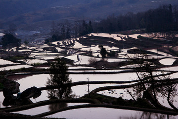 元阳梯田