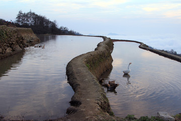 元阳梯田