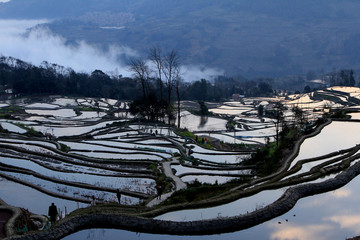 元阳梯田