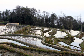 元阳梯田