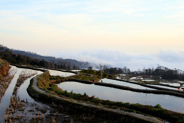 元阳梯田