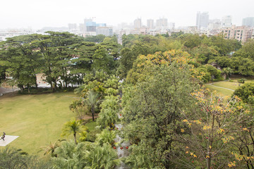 黄江人民公园中的绿色植被