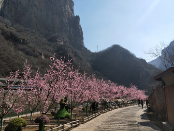 宝泉风景