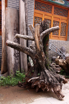 树根 木桩