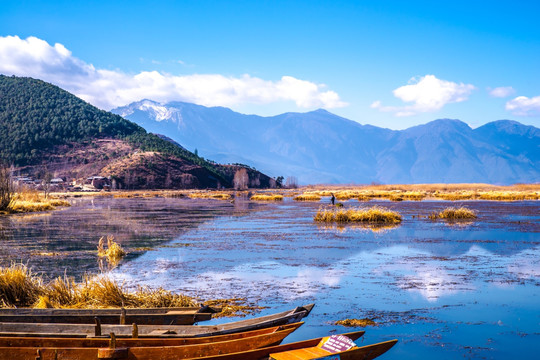 泸沽湖草海