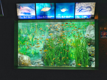 海底世界 水族展览馆