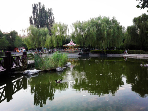 北京北小河公园风光
