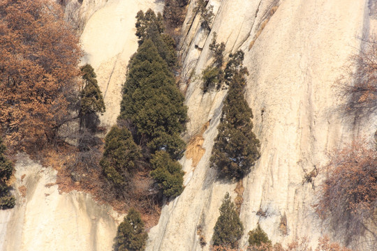 华山 石壁