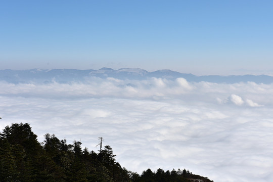 螺髻山 云海