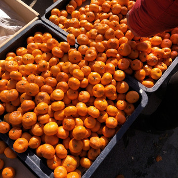 集市橘子