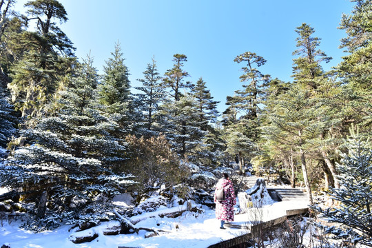 螺髻山 雪山 雪景