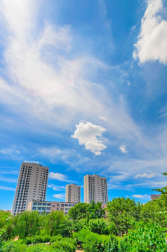 都市建筑群 绿化