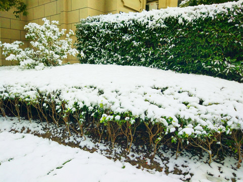 都市花园雪景