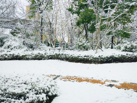 都市花园雪景