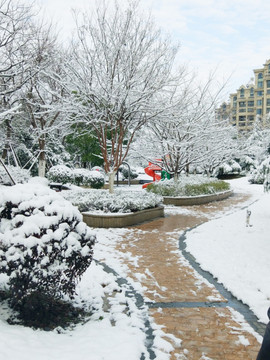 都市花园雪景