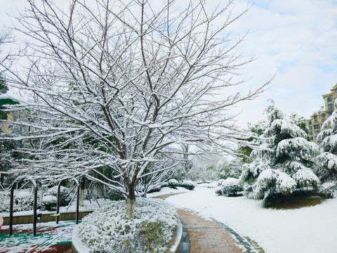 都市花园雪景