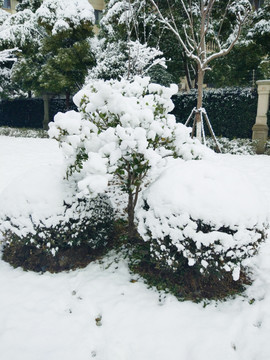 都市花园雪景