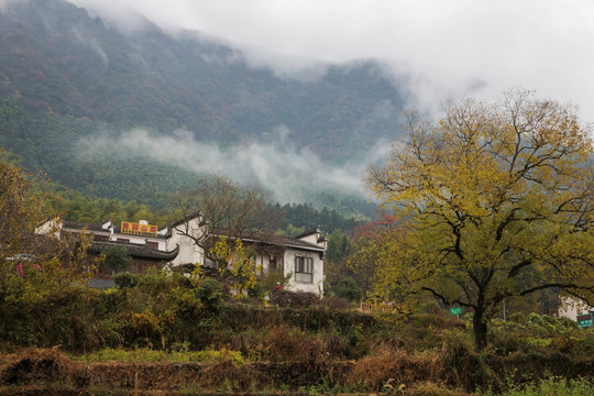 塔川云雾