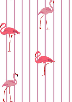 鳥