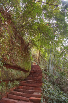 竹林 小路 石梯台阶