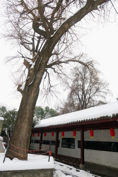 米公祠雪景