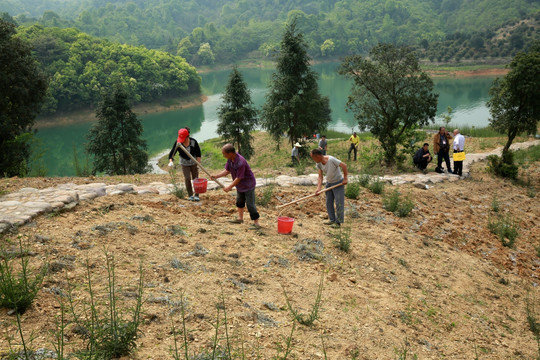 农民种地劳动场景