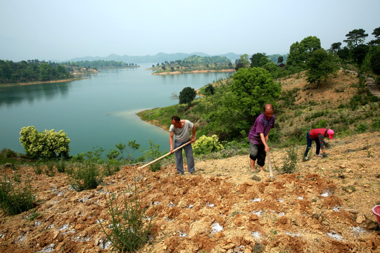 农民种地远景