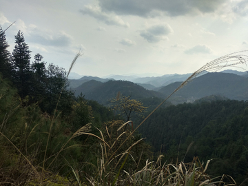 山中远眺风景