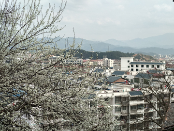 山中远眺风景