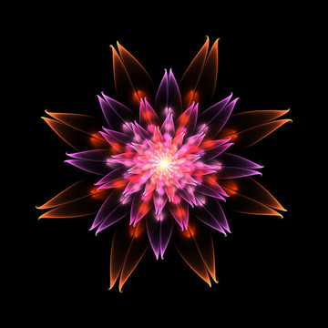 分形花