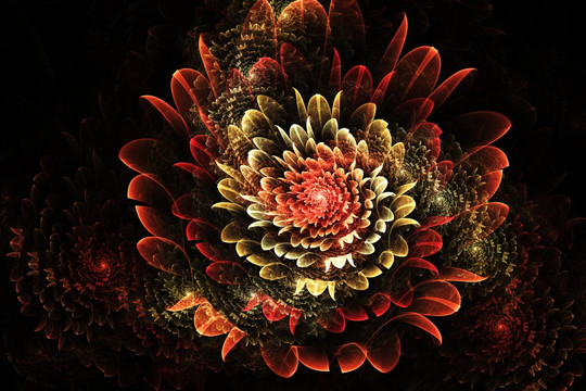 分形裝飾花卉