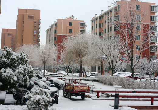 雪后景观