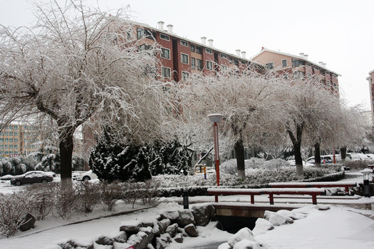 雪后小区景观