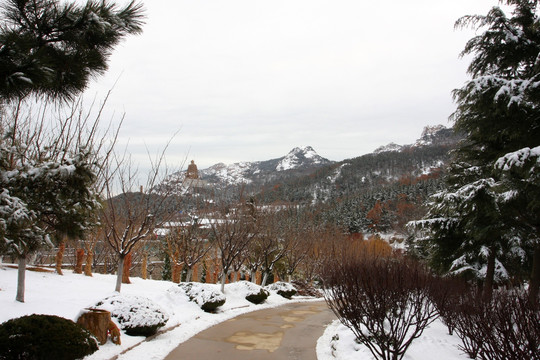 雪景