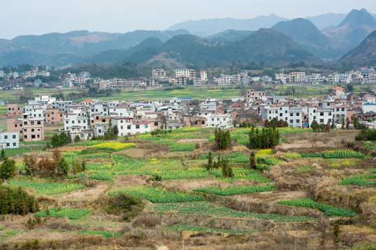 乡村风景