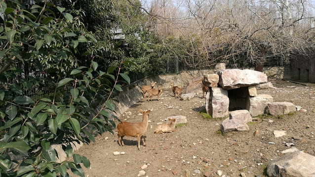 上海动物园园林景观