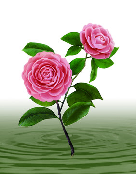 數(shù)碼印花花型