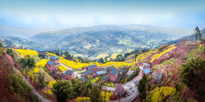 中都油菜花 全景大图