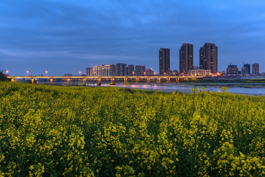 油菜花城市夜景