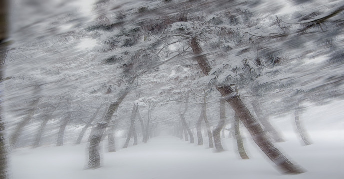 雪景