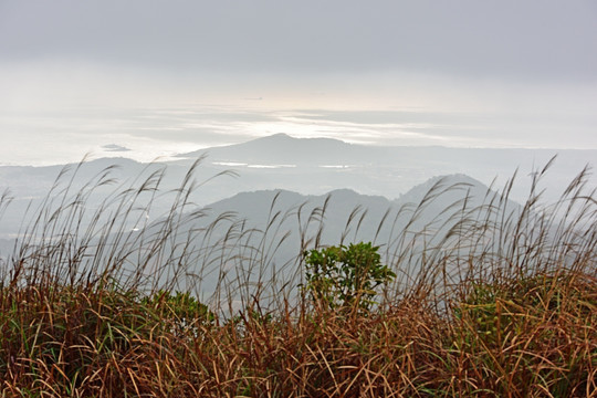 高山大海