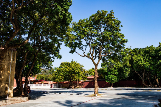 寺庙寺院