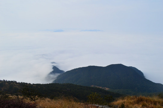 高山云海