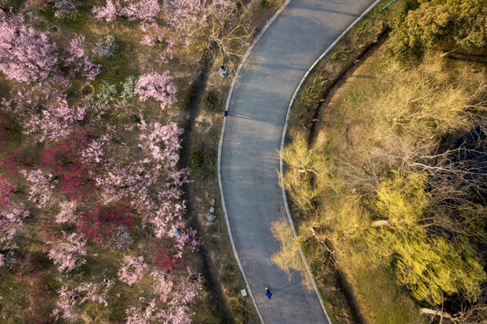 航拍扬州蜀冈西峰公园