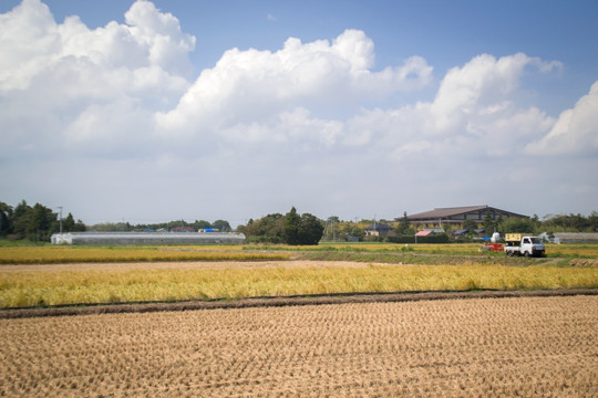 农村 田野