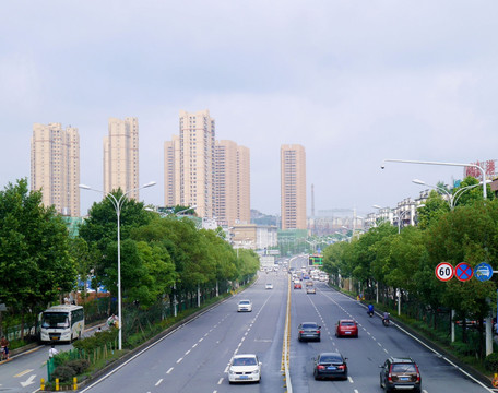 城市公路绿化