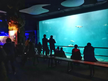 水族馆素材