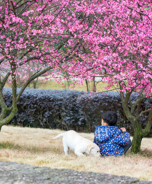 梅花 小孩